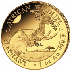 1 Oz Gold Somalia Elefant 2024